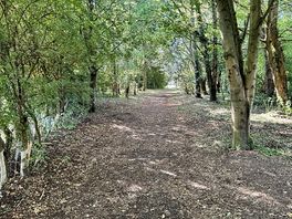 Walk around the lake