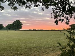 Adjoining field