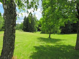 Well maintained grass