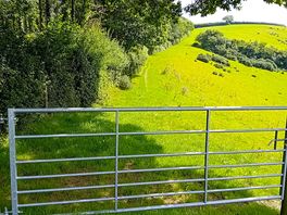 Beautiful rolling hills