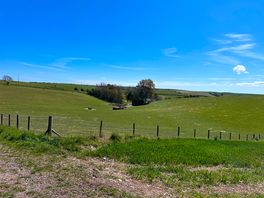 Out walking