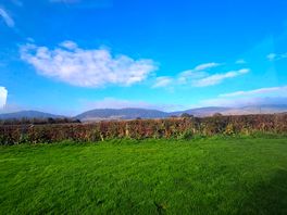 Pitch view1