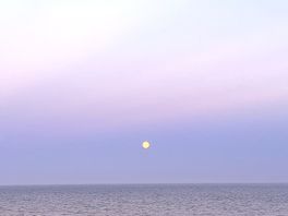 Gorgeous view