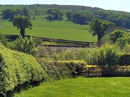 More countryside