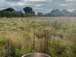 Morning!