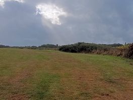 Field up to toilet
