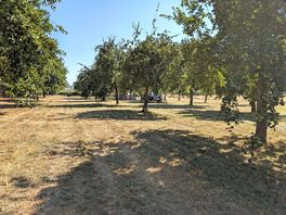 Lovely orchard setting