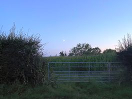 La nuit tombe