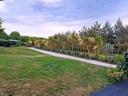 The view