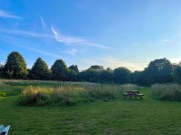 The meadow