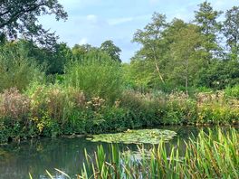 Pond in front of storm barn