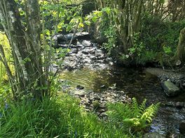 Beautiful little waterfall on the river that runs along the edge of the site.