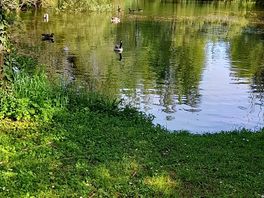 Rustgevende plek