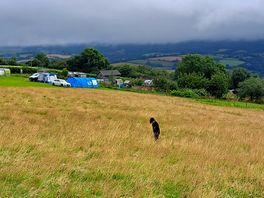 Rain coming in.