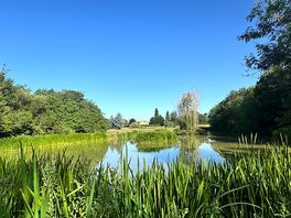 View from the camping end of the lake