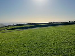 Afternoon sun at campsite