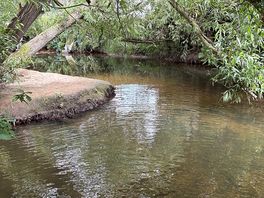 The stream behind out tent