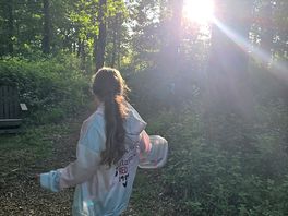 Sun through the trees