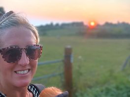 The sunset
