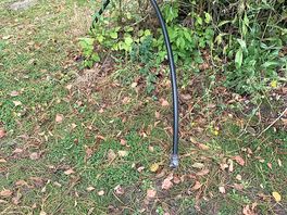 Cold water tap …. more than one dog cocked it’s leg on it