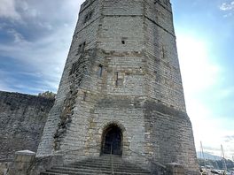 Castle in local town
