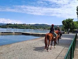 Fronte campeggio 🏕
