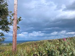 The sky