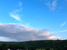 Evening views