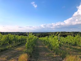 View from local walk