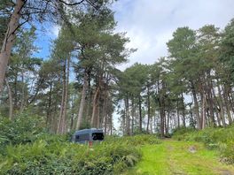 View of our pitch with the van