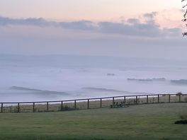 Morning mist