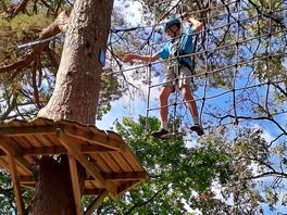 Treetop adventures