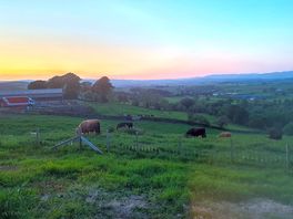 Sunset view from lodge 1