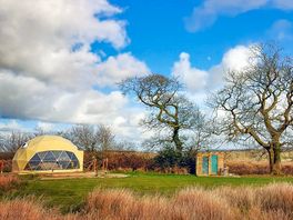 Dome next to an ancient oak tree