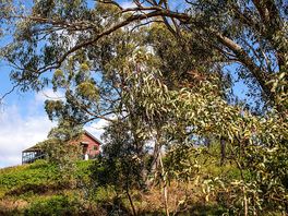 Accommodation on the ridge