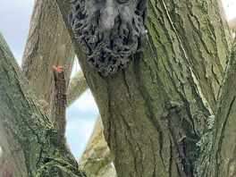 Green man trail