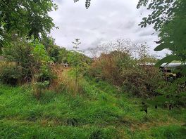 Great walks