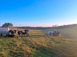 Lovely spot on a working farm
