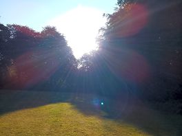 Lovely sunrise.