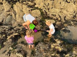 More rock pools