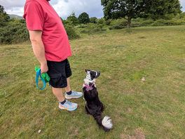 Dog walks on the common