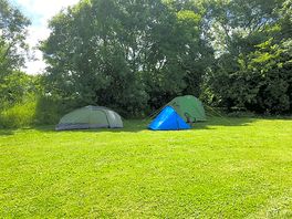 Grassy pitches