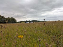 View from the footpath.