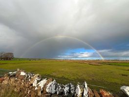 Up above the streets and houses.