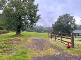 Taken on the way out after picking up. it had rained in the night but the previous day was baking!