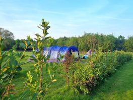 Pitched with front facing river. seperated by hedgerow with suitable gaps