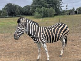 Zoo