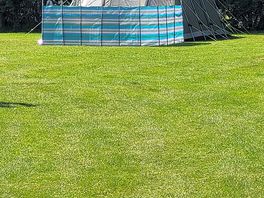 Our pitch