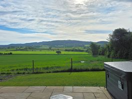 The view