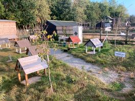 Guinea pig pen